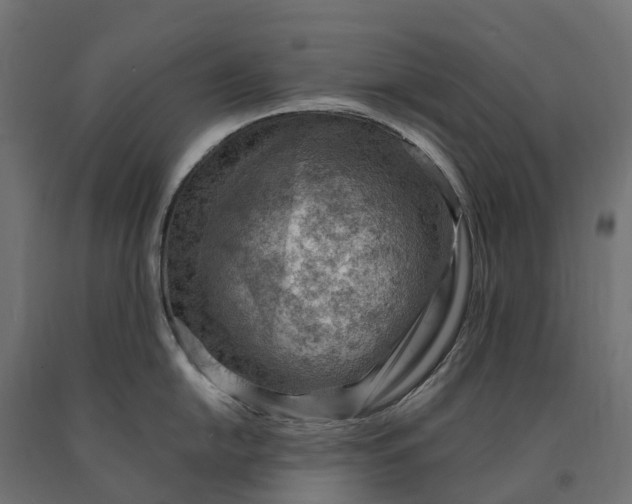 X0000090781054200708031711