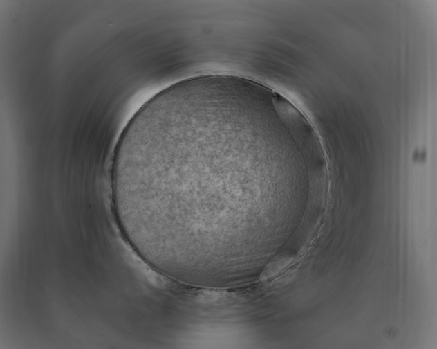 X0000090781056200708031711