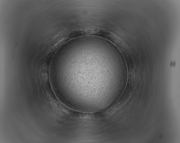 X0000090781058200708031710