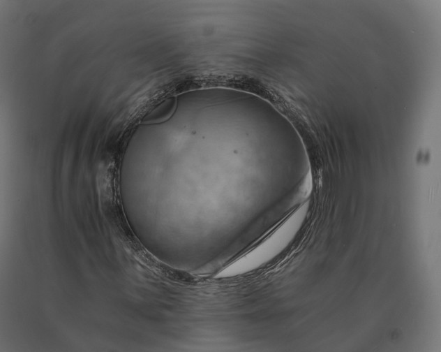 X0000090781059200708031710