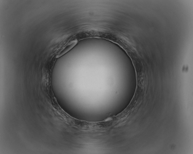 X0000090781061200708031710
