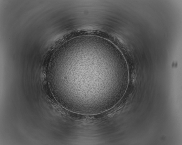 X0000090781062200708031710