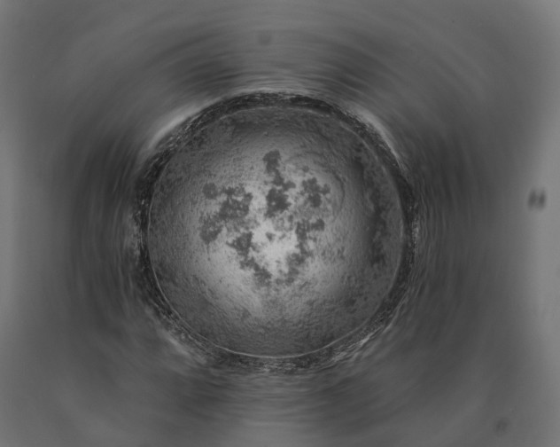 X0000090781064200708031710