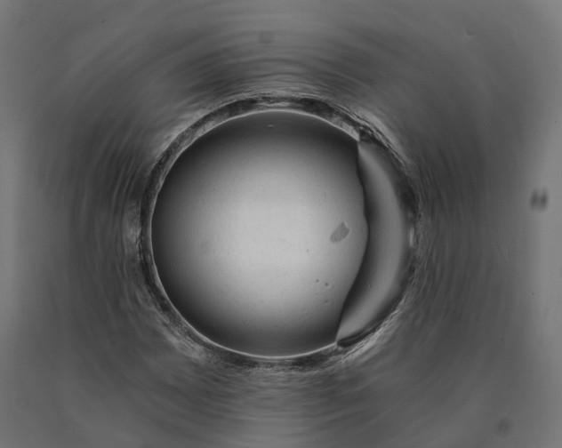 X0000090781065200708031710