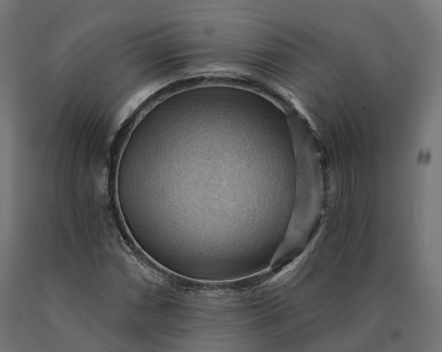 X0000090781066200708031710