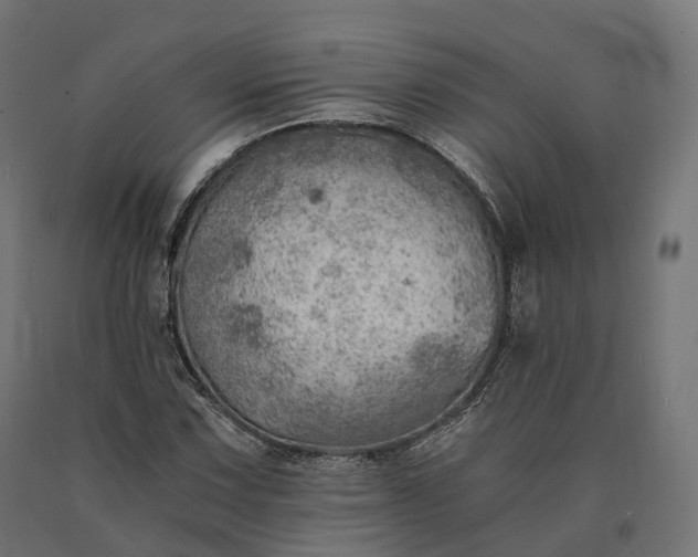 X0000090781067200708031710