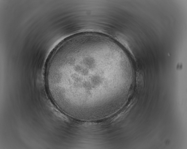 X0000090781068200708031710