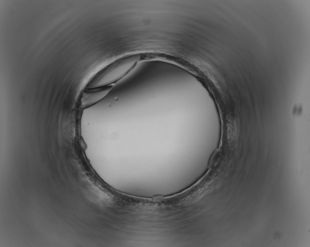 X0000090781069200708031710
