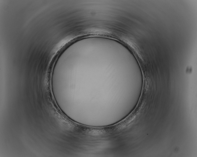 X0000090781074200708031710