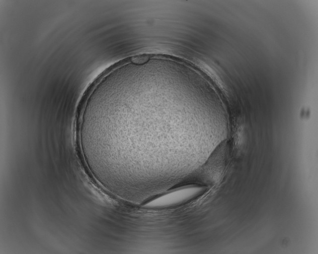 X0000090781076200708031710