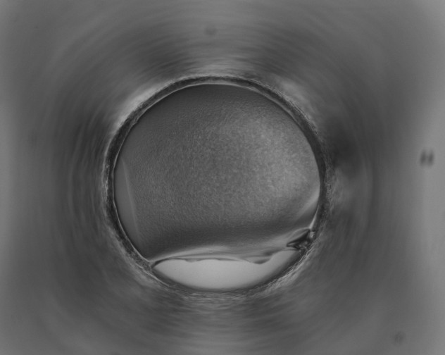 X0000090781077200708031710