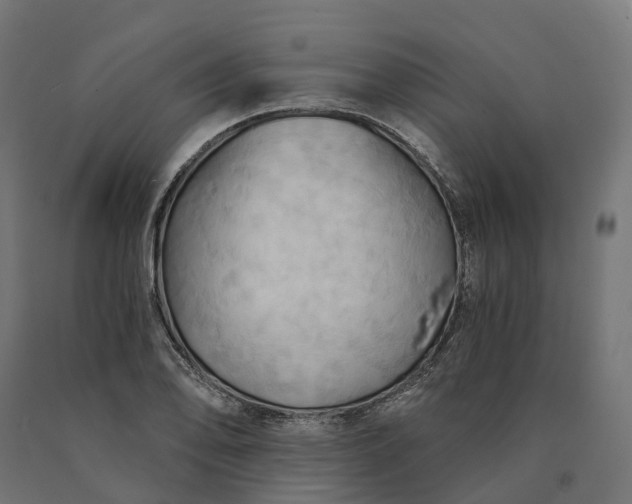 X0000090781078200708031710