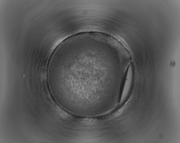 X0000090781081200708031710