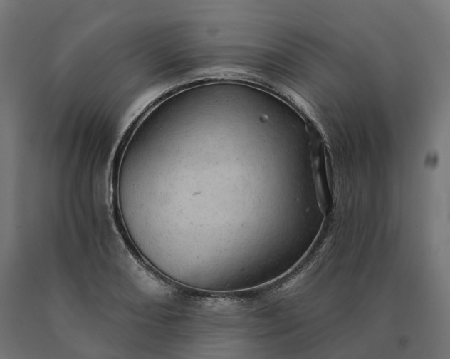 X0000090781082200708031710