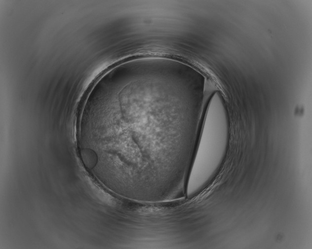 X0000090781083200708031710