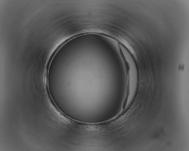 X0000090781084200708031710