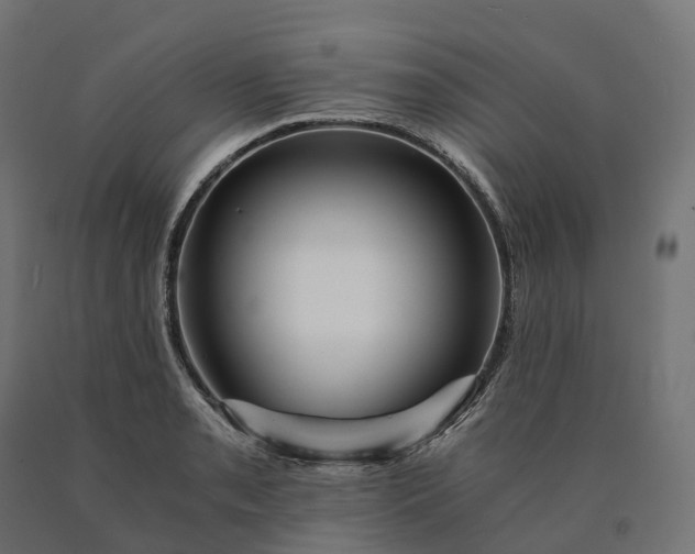 X0000090781085200708031710