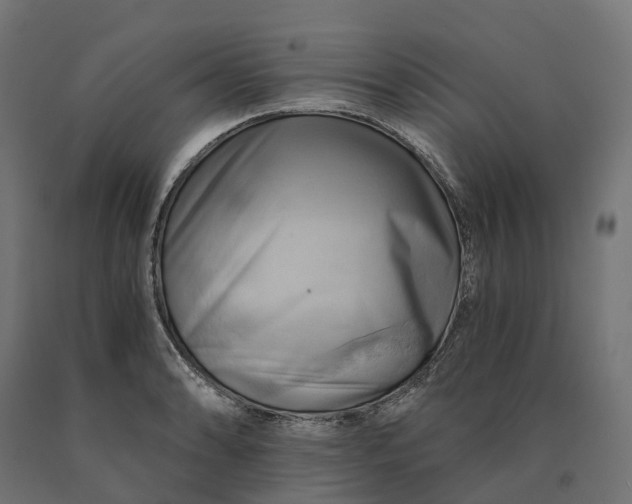 X0000090781086200708031709