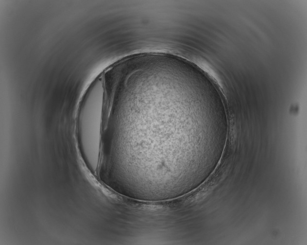 X0000090781088200708031709