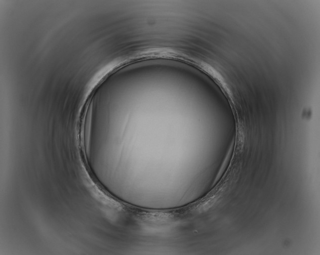 X0000090781090200708031709