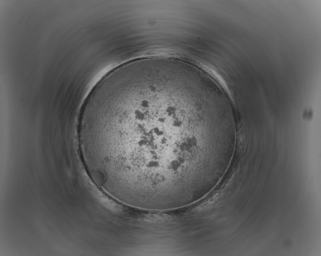 X0000090781091200708031709