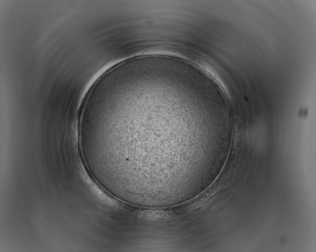 X0000090781092200708031709
