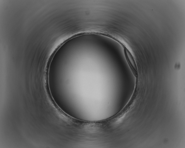 X0000090781093200708031709