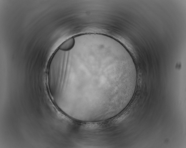 X0000090781094200708031709