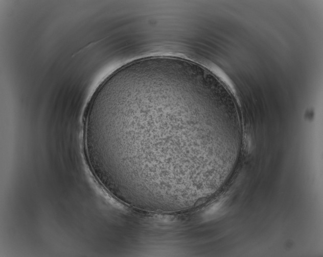 X0000090781096200708031709