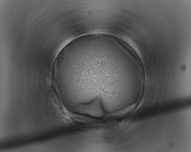 X0000090781097200708031709