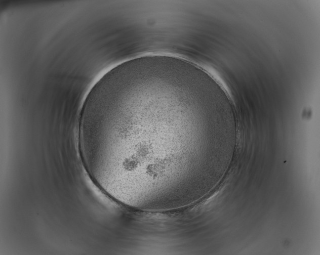 X0000090781100200708031709