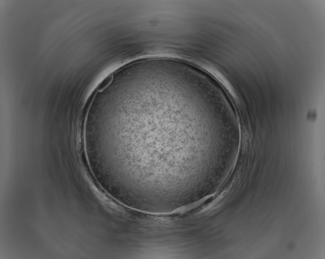 X0000090781101200708031709