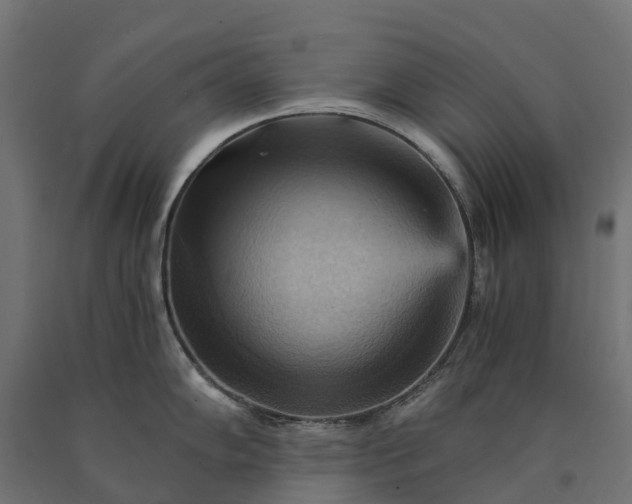 X0000090781102200708031709