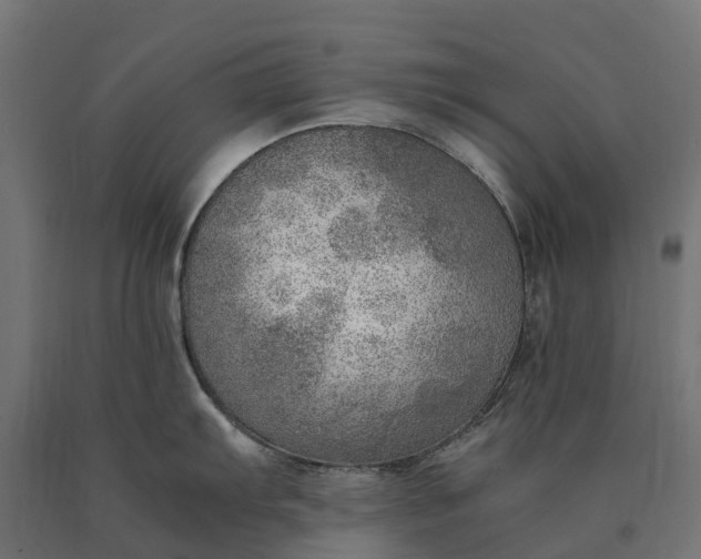 X0000090781103200708031709