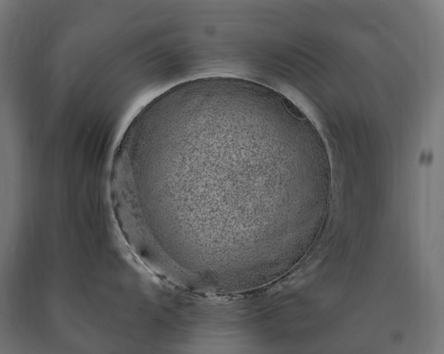 X0000090781104200708031709