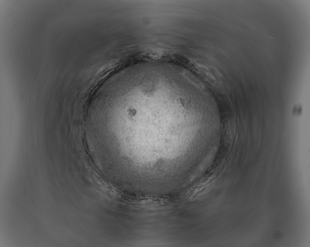 X0000090781105200708031708