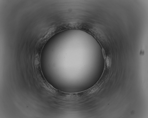 X0000090781107200708031708