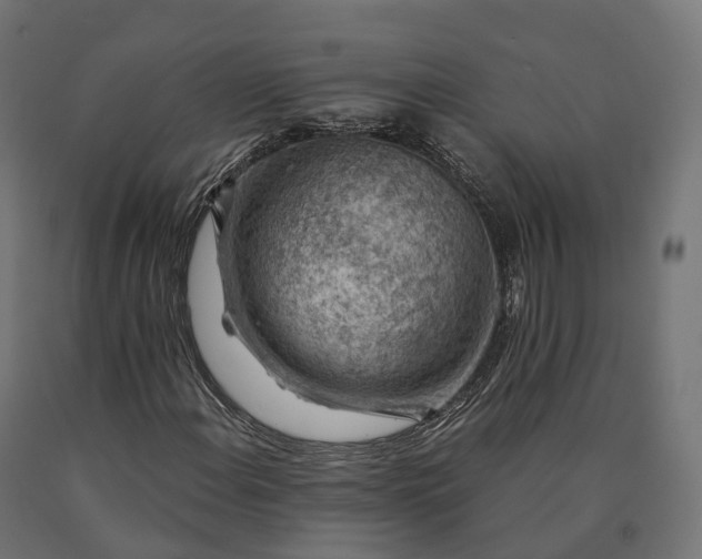 X0000090781108200708031708