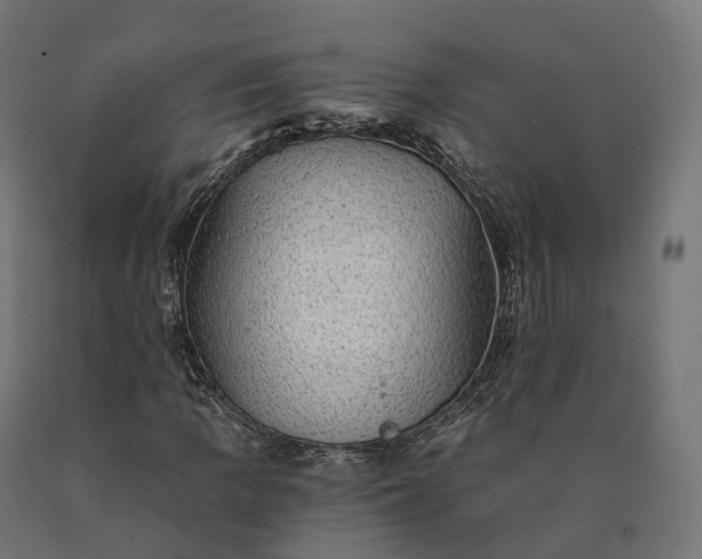X0000090781109200708031708