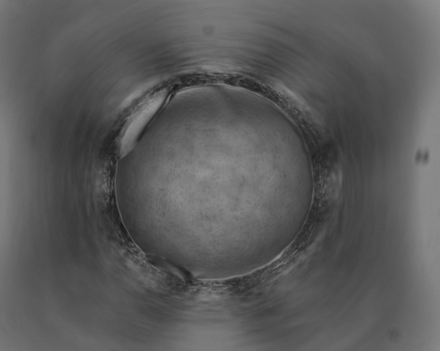 X0000090781110200708031708