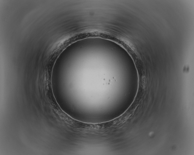 X0000090781111200708031708