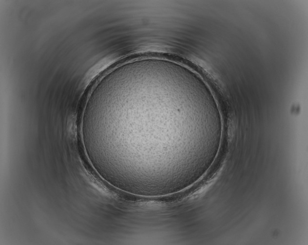 X0000090781113200708031709