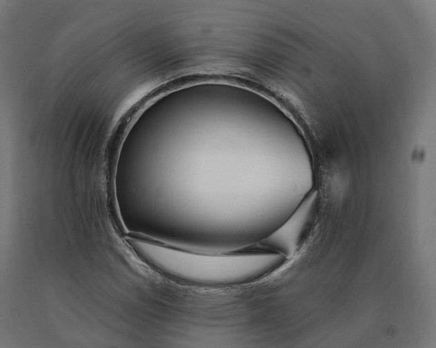 X0000090781114200708031709