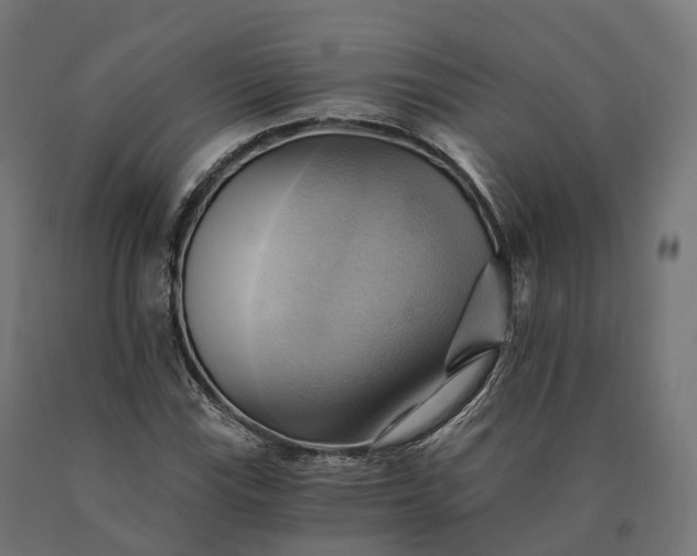 X0000090781115200708031709