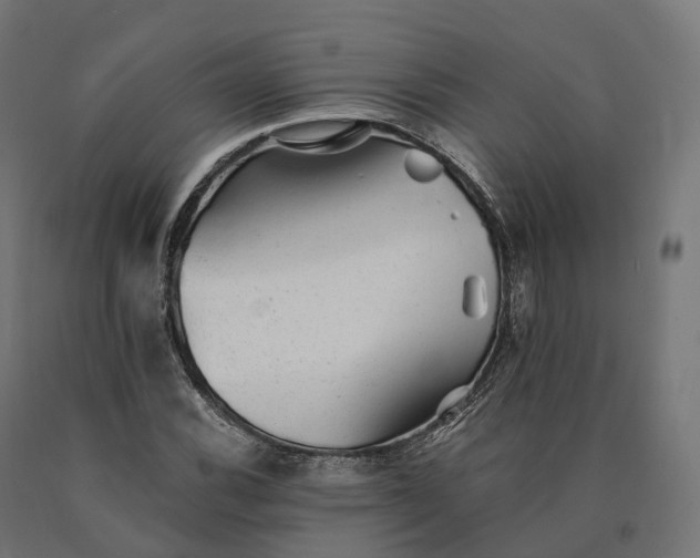 X0000090781116200708031709