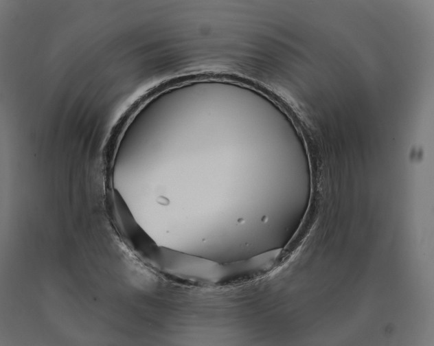 X0000090781118200708031709