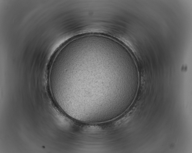 X0000090781119200708031709