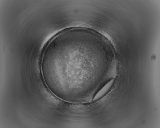 X0000090781120200708031709