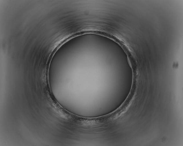 X0000090781121200708031709