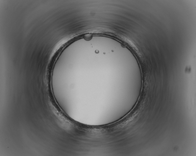 X0000090781122200708031709